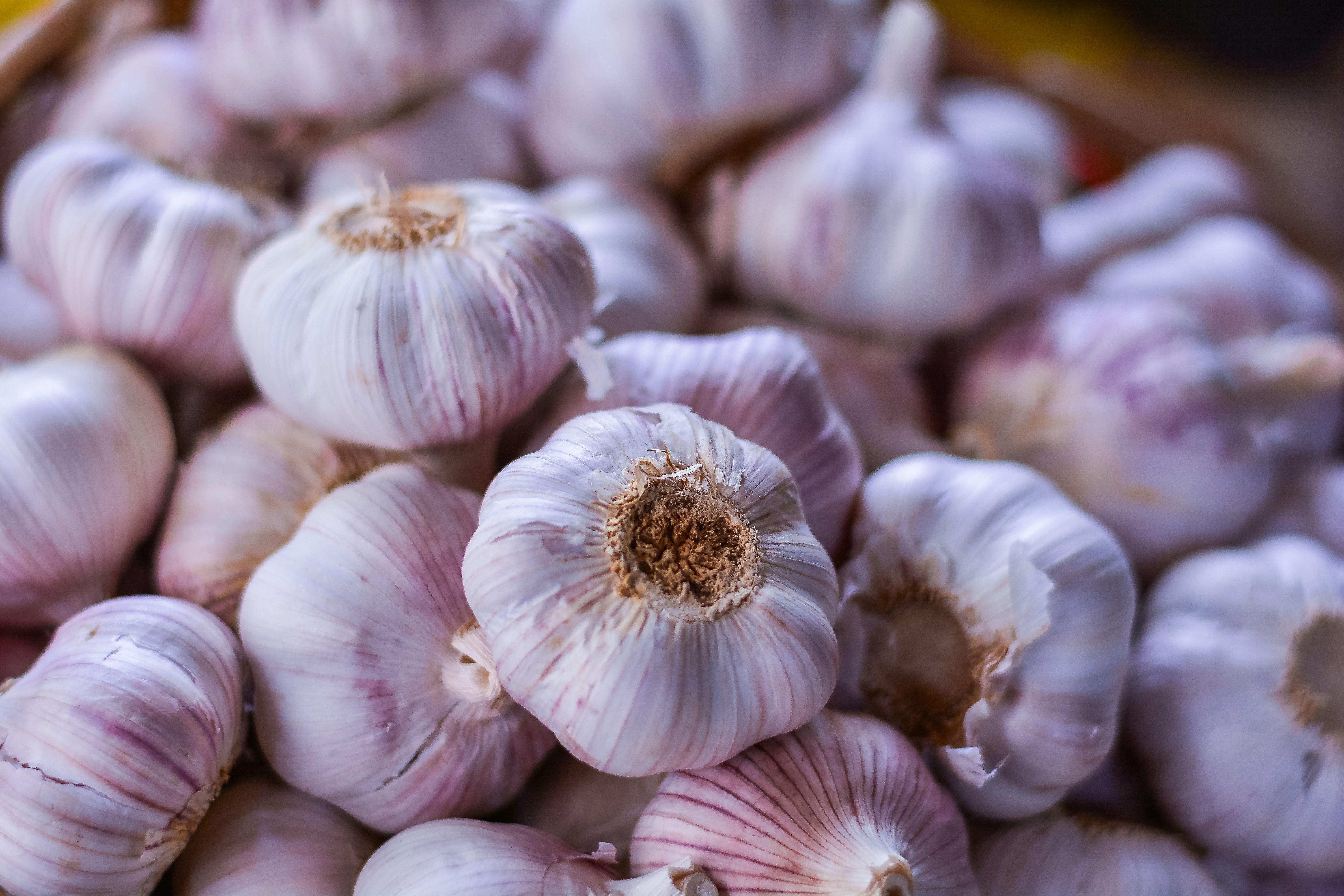 knoflook